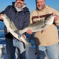 2022 fall striper 1 20221102