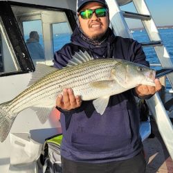 2022 fall striper 3 20221102