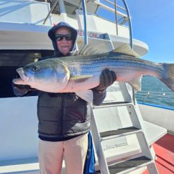 558286207 1257178829784721 n