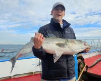 560359681 1255775636591707 n