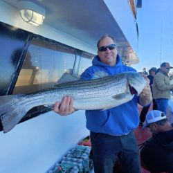 565633059 1259549349547669 n