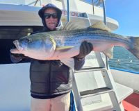 566208895 1259549379547666 n