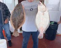 flukeling and sea bass 8 20210706